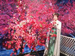 -武汉杜莎夫人蜡像馆