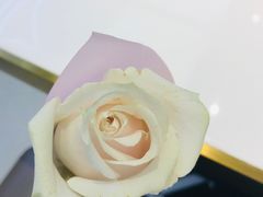 -黄记煌三汁焖锅(裕华万达广场店)