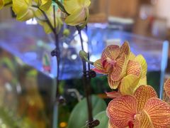 -Rabbit Cafe私房西餐甜点咖啡(栖霞路店)