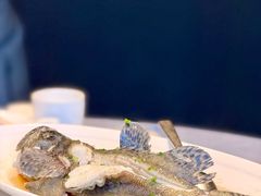 -海鸿荟·沿江菜(中山北路店)