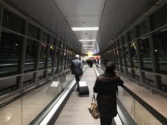 -开罗国际机场