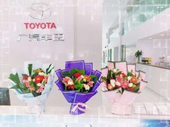 -广汽丰田武汉赛美佳4S店(黄浦店)