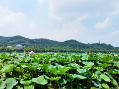 -浙江省博物馆(孤山馆区)