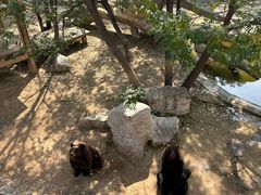 -石家庄市动物园