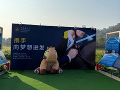 -风云岭森林公园