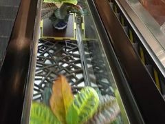 自助取餐区-中山国际酒店中餐厅