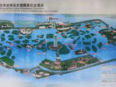 -白洋淀景区