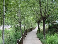-白河湾生态旅游一条川
