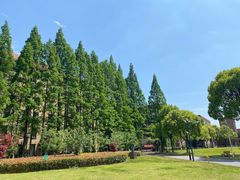 -上海财经大学(国定路校区)
