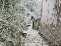 -杨家堂村