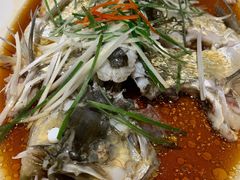 -丹江渔村(望京店)