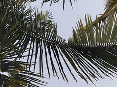 -后海村