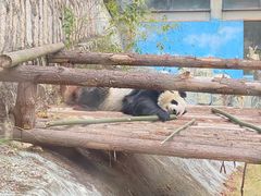-泉州海丝野生动物世界
