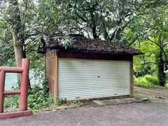 -南宁良凤江国家森林公园