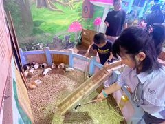 -正佳雨林生态植物园