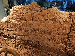 -黄山老妈·土菜(碧桂园店)