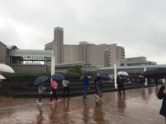 -台场海滨公园船码头