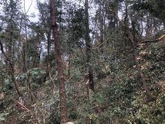 -三国赤壁古战场
