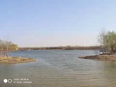 -东郊湿地公园