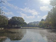 -范蠡湖公园