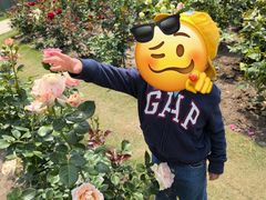 -豆初托育园 Baby Bean Day care Center