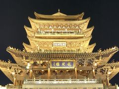 -北京佳信宠物医院