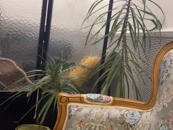 -Fancy梵汐·轻奢量肤定制