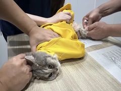 -荔康动物医院(康王北路店)