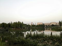 -尚贤河湿地