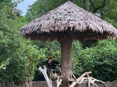 -上海野生动物园