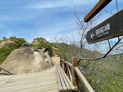 -大岭沟猕猴桃谷风景区