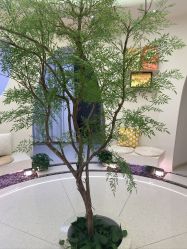 -亦美瑜伽·普拉提