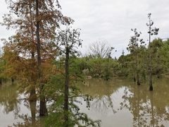 -上海长兴岛郊野公园