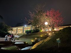 -凤阁楼果木烧鹅(鹤山陈山店)