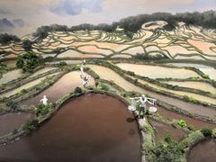 -中国湿地博物馆