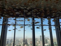 iphone_upload_pic-视界美食自助餐厅·石家庄希尔顿酒店