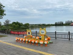 -上海长兴岛郊野公园