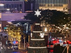 -深圳湾万象城(南山店)