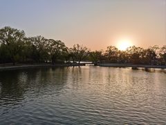 -北陵公园