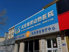 -北京观赏动物医院·24小时大型综合·猫专科·异宠专科