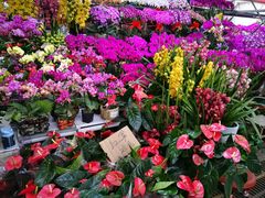 -秦美花卉(天朗·莱茵小城2期店)