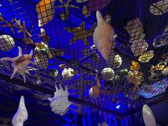 -鱼非鱼(徐家汇店)