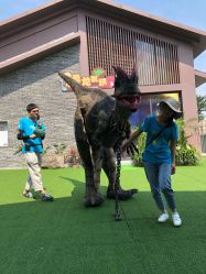 -恐龙探索乐园(磁器口店)