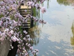 -海棠花溪(元大都城垣遗址公园)