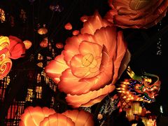 -淄博花灯齐彩城