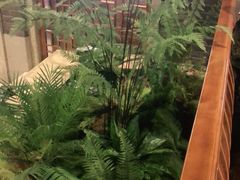 -陶然居·重庆菜(解放碑店)