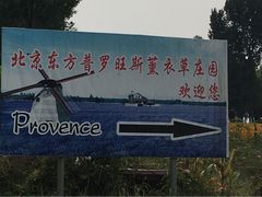 -北京东方普罗旺斯薰衣草庄园
