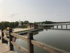 -呼兰河口湿地公园