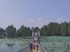 -东湖落雁景区