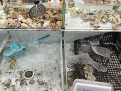 -盒马鲜生(悦峰店)